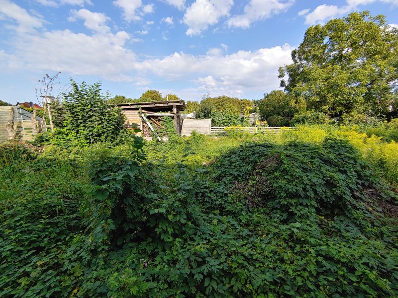 Besichtigter Kleingarten